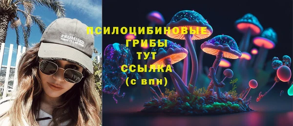 MDMA Premium VHQ Горнозаводск