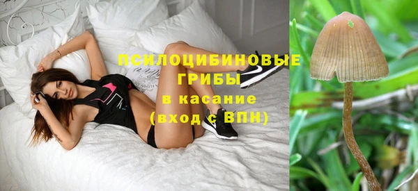 трава Вязники